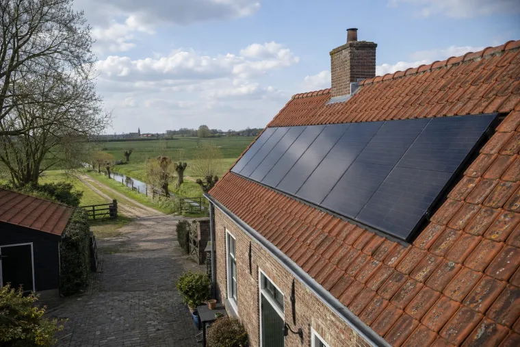 Rij zwarte zonnepanelen op het rode pannendak van een hoeve, met knotwilgen en weiland erachter