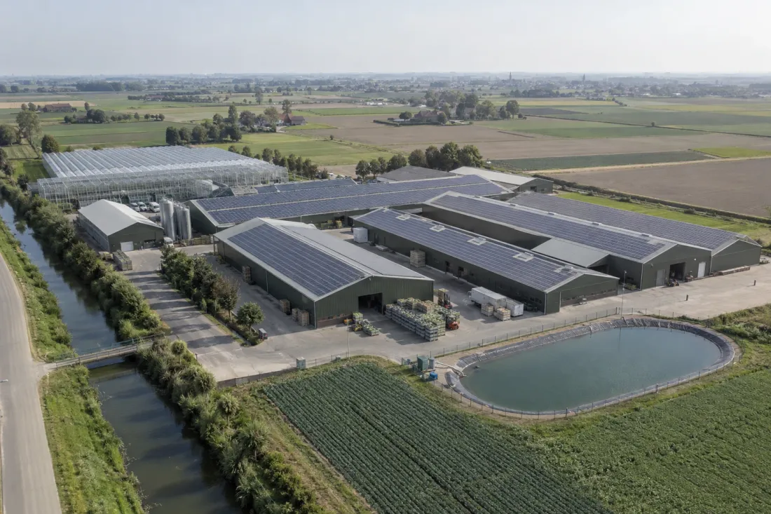 Tuinbouwbedrijf in de polder met zonnepanelen op de loodsen